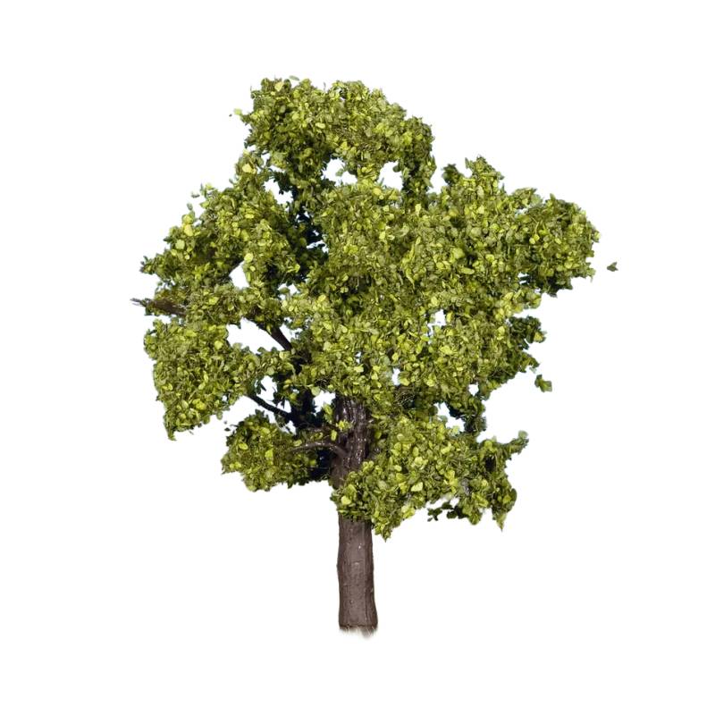 Noch 21550 -  Arbre fruitier