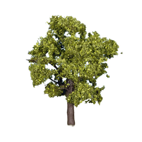Noch 21550 -  Arbre fruitier