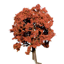 Noch 21730 - hêtre européen