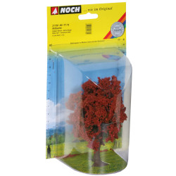 Noch 21730 - Copper Beech