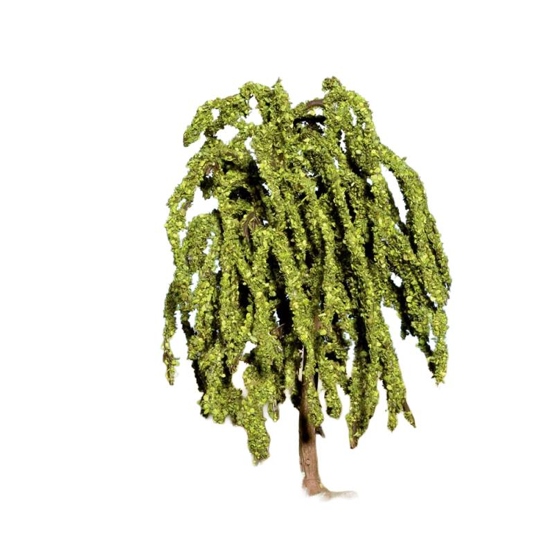 Noch 21770 - Weeping Willow