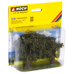 Noch 21995 - Olive Trees