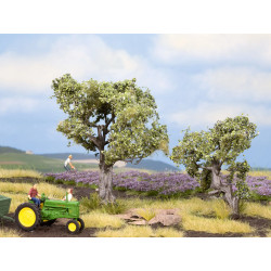 Noch 21995 - Olive Trees