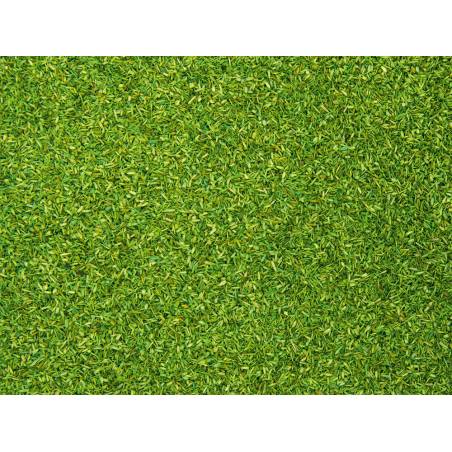 Noch 08411 - Scatter Material