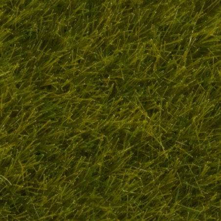 Noch 07100 - Prairie d'herbes sauvages