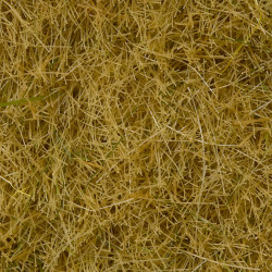 Noch 07101 - Wild Grass