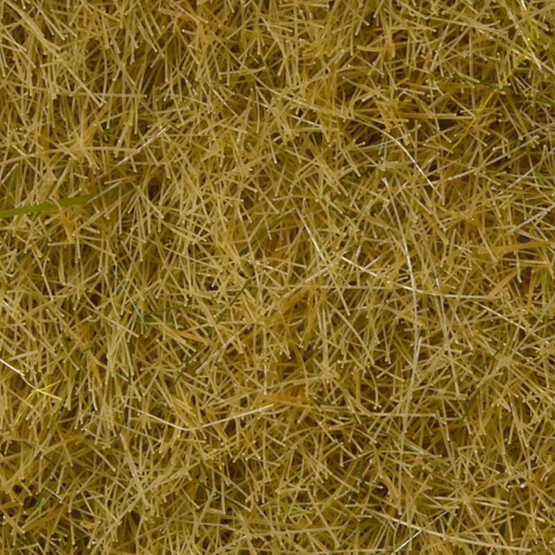 Noch 07102 - herbe sauvage