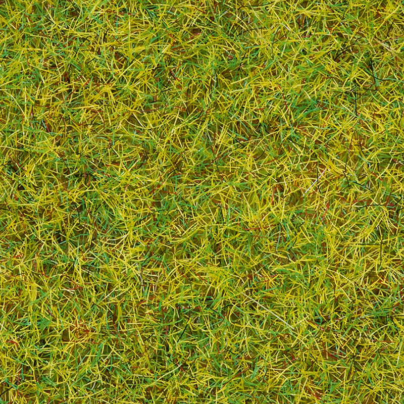 Noch 08310 - Herbe dispersée « Prairie d'été »
