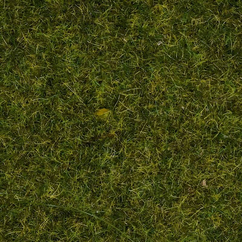 Noch 08312 - Scatter Grass “Meadow”