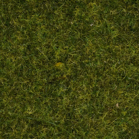 Noch 08312 - Streugras “Wiese”