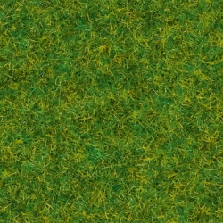 Noch 08314 - Streugras “Zierrasen”