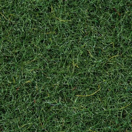 Noch 08320 - Herbe dispersée « Terre des marais »