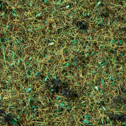 Noch 08350 - Streugras “Waldboden”