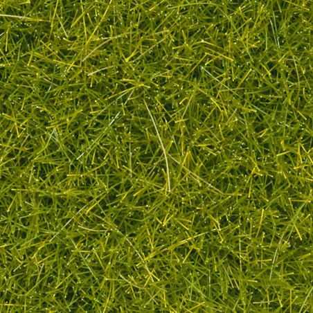 Noch 08363 - Herbe dispersée
