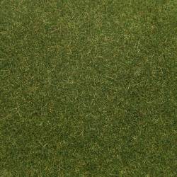 Noch 08364 - Scatter Grass