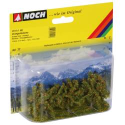 Noch 25114 - Orange Trees
