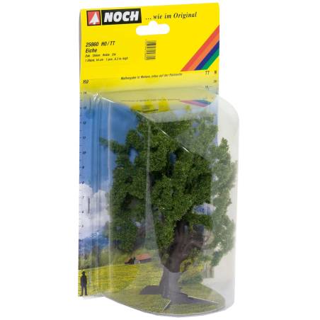 Noch 25860 - Oak Tree