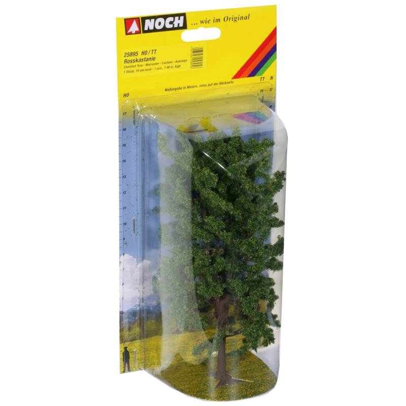 Noch 25895 - Rosskastanie