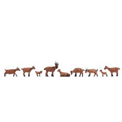 Noch 15752 - Goats