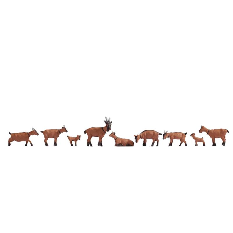 Noch 15752 - Goats