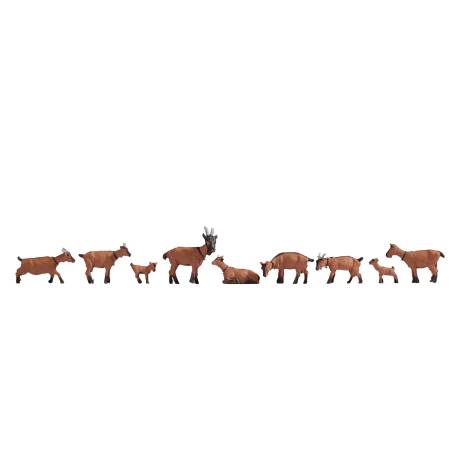 Noch 15752 - Goats