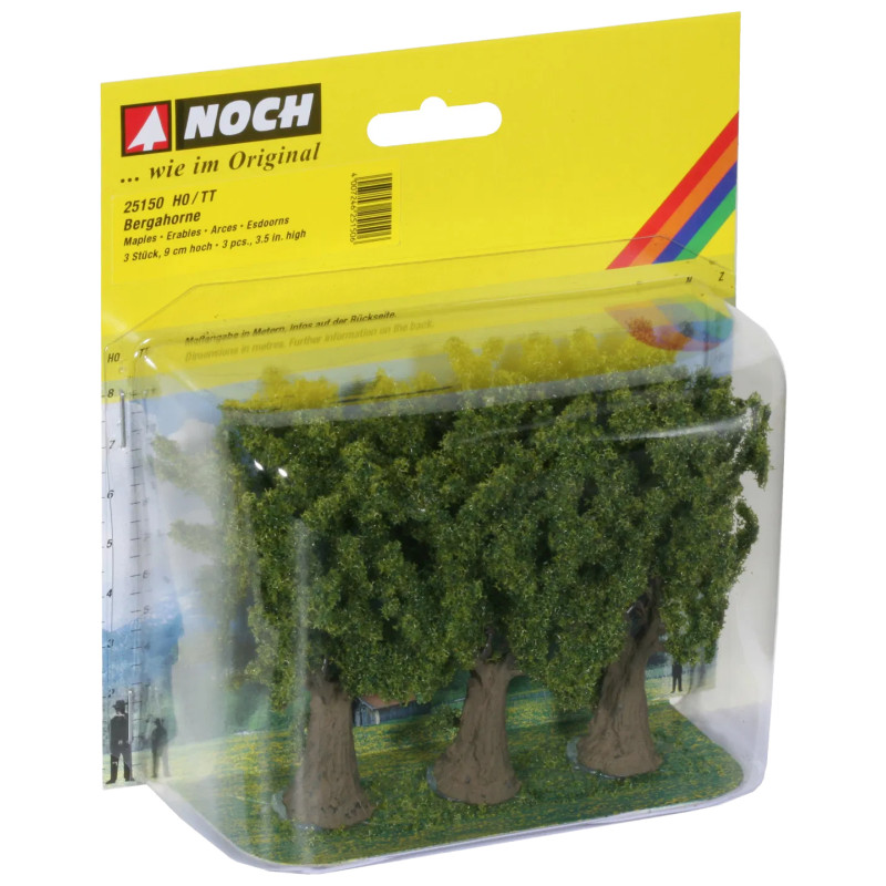 Noch  25150 - Sycamore Trees