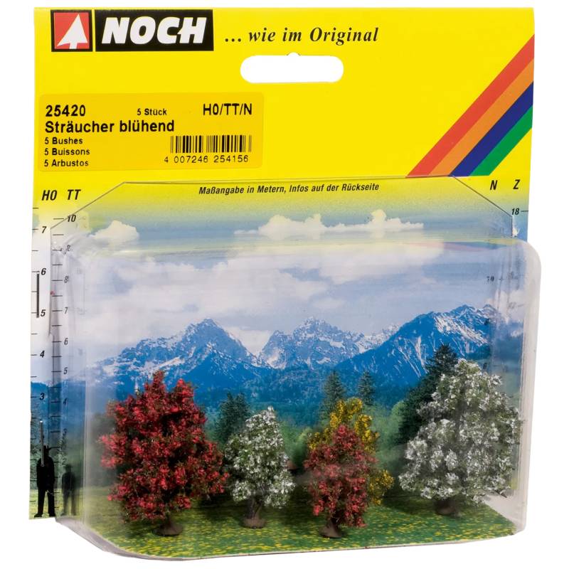 Noch 25420 - Arbustes, en fleurs