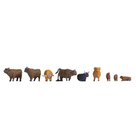 Noch 15728 - Highland Cattle H0