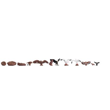 Noch 15775 - Birds H0