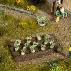 Noch 13220 - Kohlrabi