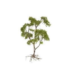 Noch 34760 - Abandoned Place ‘Fountain’ - 1/160 N