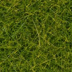 Noch 07117 - Wildgraswiese