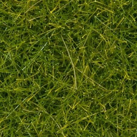 Noch 07117 - Wild Grass Meadow