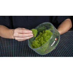 Noch 60125 - Gras-Master 4.0 PROFI Set