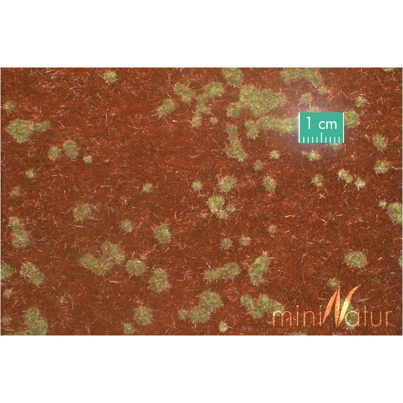 copy of MiniNatur 740-23 S - Waldbodendecker, Frühherbst