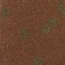 MiniNatur 740-24 MS – Unterholz im Spätherbst