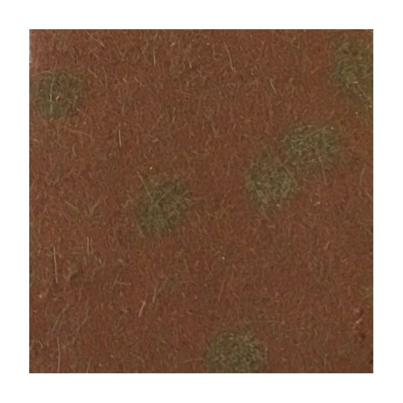 MiniNatur 740-24 MS – Unterholz im Spätherbst