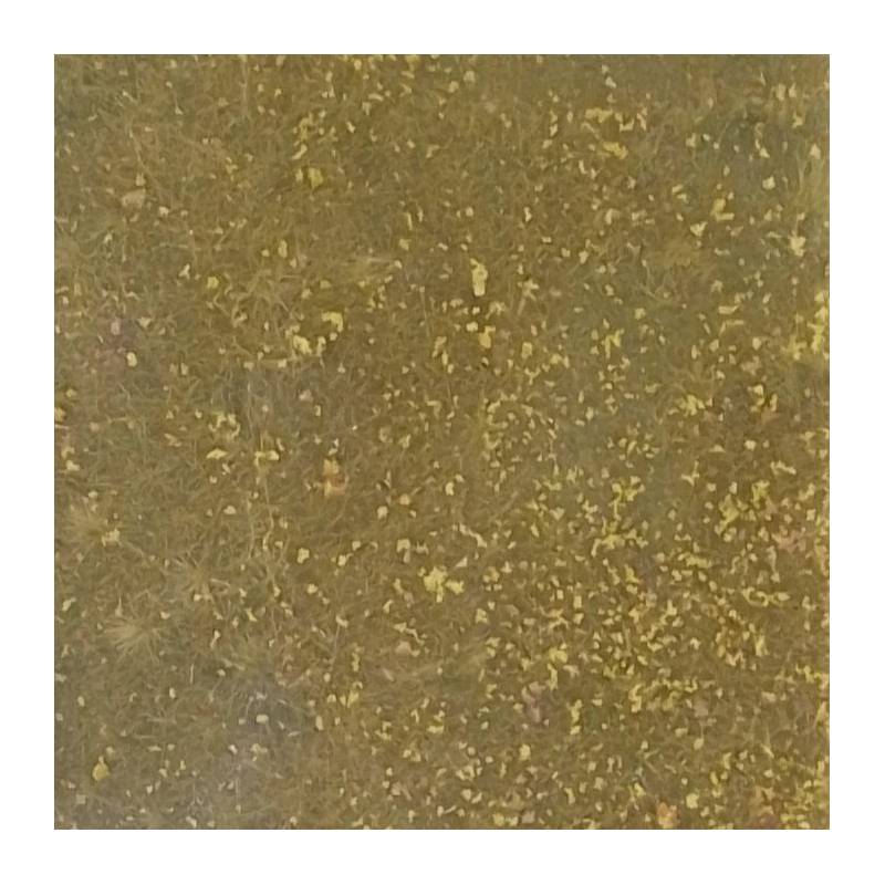 MiniNatur 733 -14 MS Wiese im Spätherbst