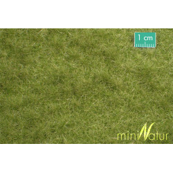 MiniNatur 713-23 MS - Rinderweide im Frühherbst