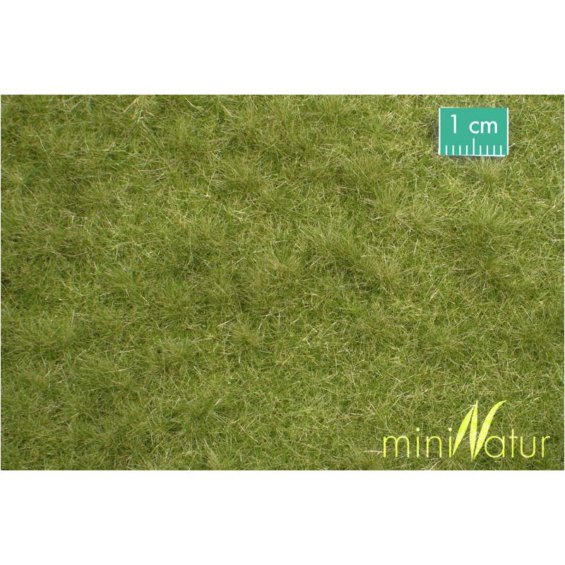 MiniNatur 713-23 MS - Pâturage du bétail au début de l'automne
