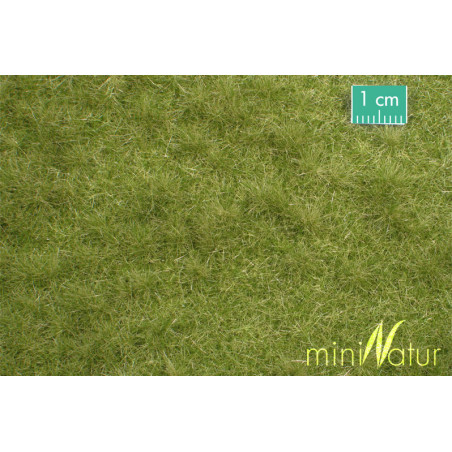 MiniNatur 713-23 MS - Pâturage du bétail au début de l'automne