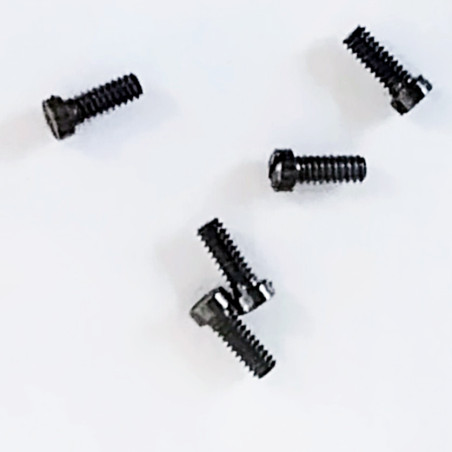 Minitrix E19709828 - Vis à tête plate M1,6x4 (10 unités)