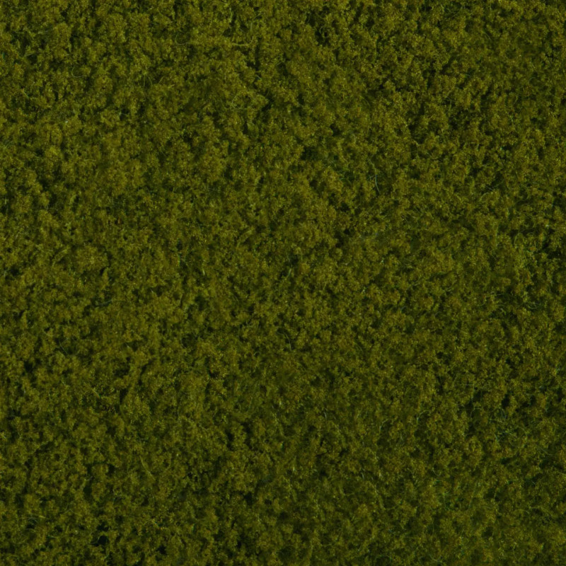 Noch 07270 - Foliage,