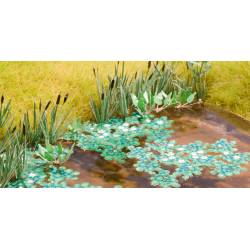 Noch 14114 - Lotus Flower