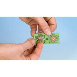 Noch 14114 - Lotus Flower