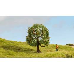 Noch 20145 - Apfelbaum