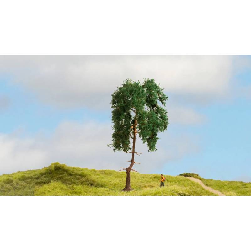 Noch 20140 - Pine Tree