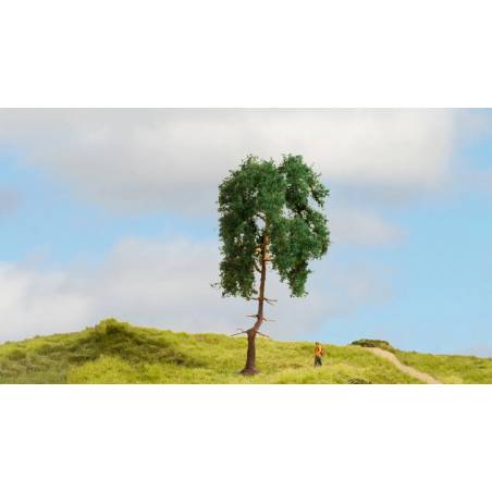 Noch 20140 - Pine Tree