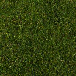 Noch 07291 - Wiesen-Foliage