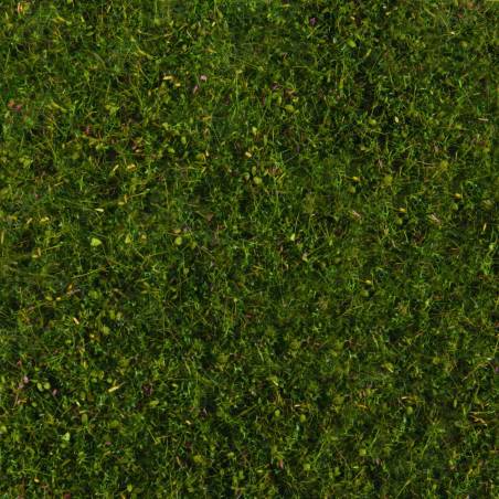 Noch 07291 - feuillage de prairie